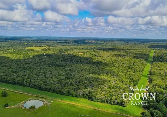 5th image of Tbd Fm 908 (+/-1,057 Acres), Caldwell, TX 77836 | MLS# 5909271