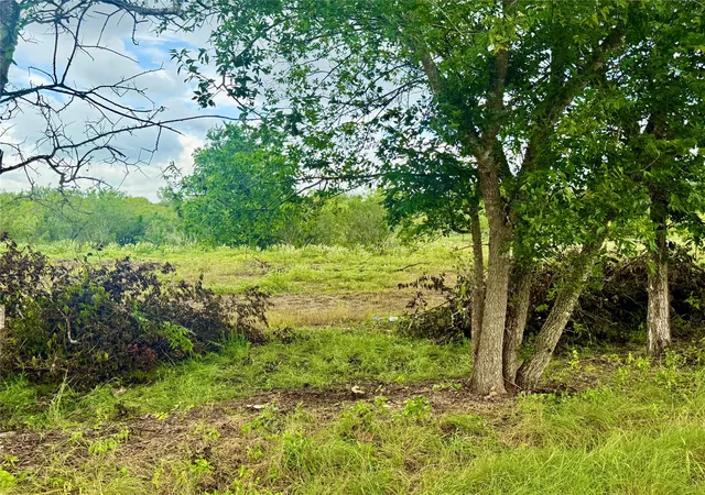 5th image of 00 Engelke Rd, Niederwald, TX 78640 | MLS# 7432130