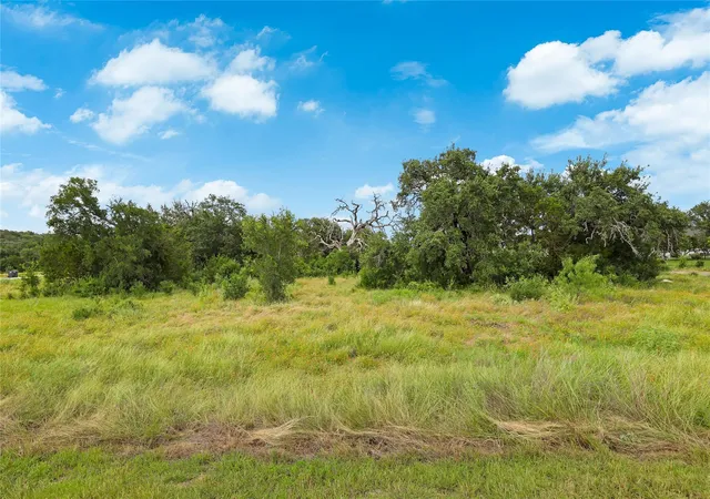 Homes for sale in Spicewood, TX | 123 Williams Wy, Spicewood, TX 78669 | MLS# 6874754