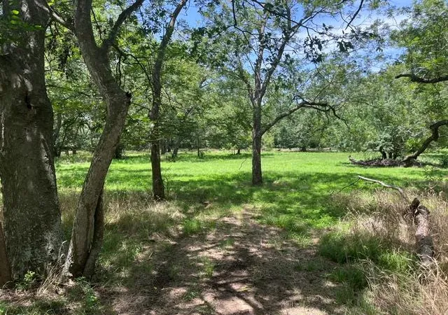 1st image of 344 & 343 Bateman Rd, Red Rock, TX 78662 | MLS# 2332096
