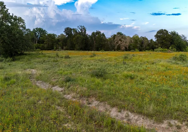 39th image of 1395 S Hwy 95 Hwy, Smithville, TX 78957 | MLS# 7788822