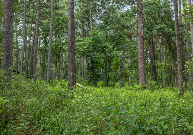 2nd image of 5772 Pr 2065, Centerville, TX 75833 | MLS# 2197294