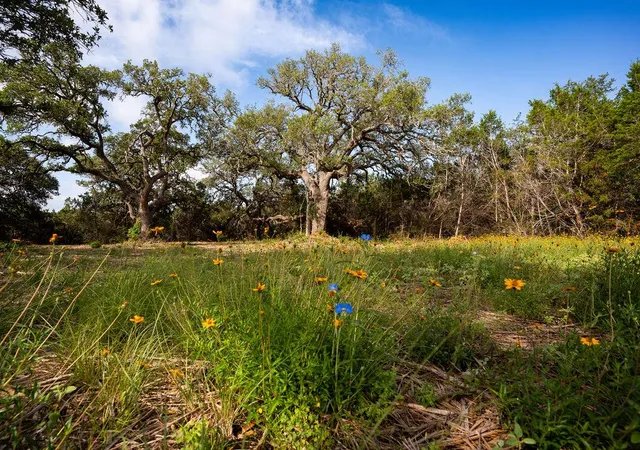 1st image of Tbd Gatlin Creek Rd, Dripping Springs, TX 78620 | MLS# 1241040