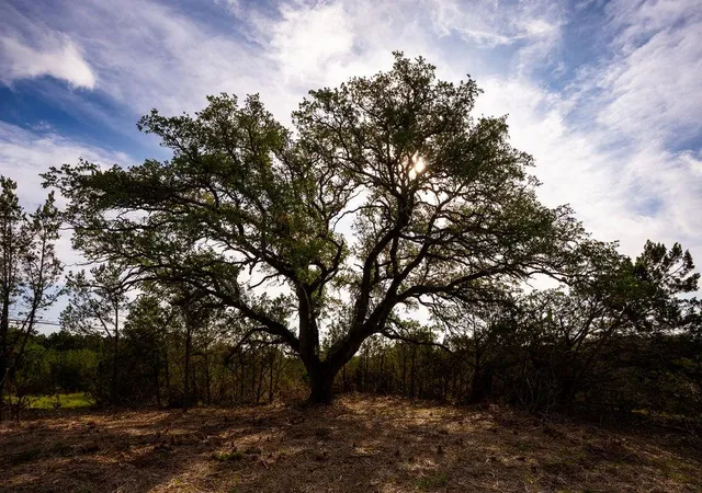 5th image of Tbd Gatlin Creek Rd, Dripping Springs, TX 78620 | MLS# 1241040