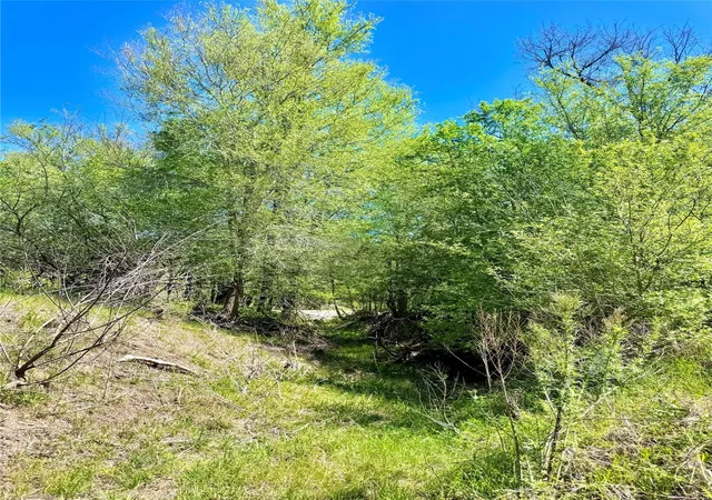 3rd image of 3775 Baker Rd, Kingsbury, TX 78638 | MLS# 6721722