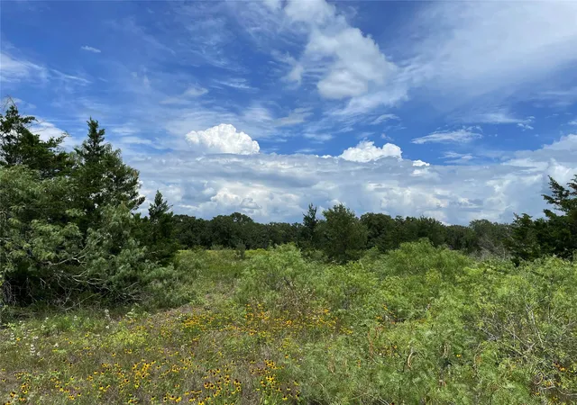 Homes for sale in Giddings, TX | Tbd Fm 141, Giddings, TX 78942 | MLS# 5285254