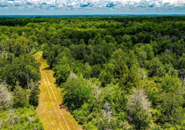 Photo 3 of Land for sale at 1470 22 Hills Rd, Gause, TX 77857 | MLS# 3686668 | Listing updated on 2026-09-22