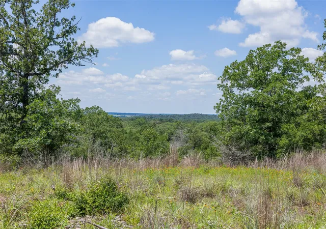 3rd image of 1004 22 Hills Rd, Gause, TX 77857 | MLS# 2077767
