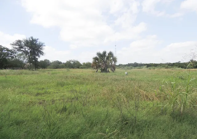 4th image of 267 Linam Ln, Cedar Creek, TX 78612 | MLS# 1021213