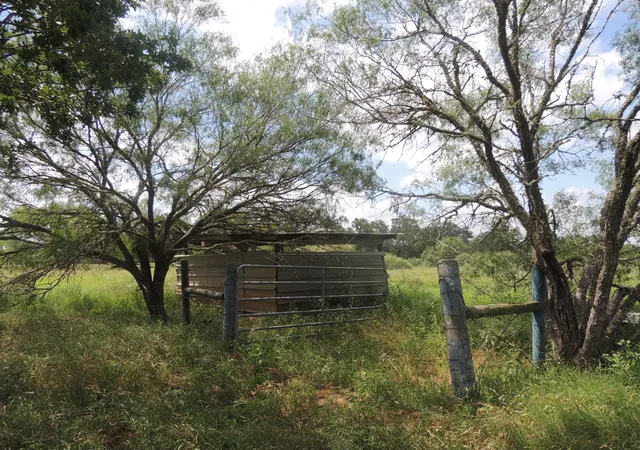 5th image of 267 Linam Ln, Cedar Creek, TX 78612 | MLS# 1021213