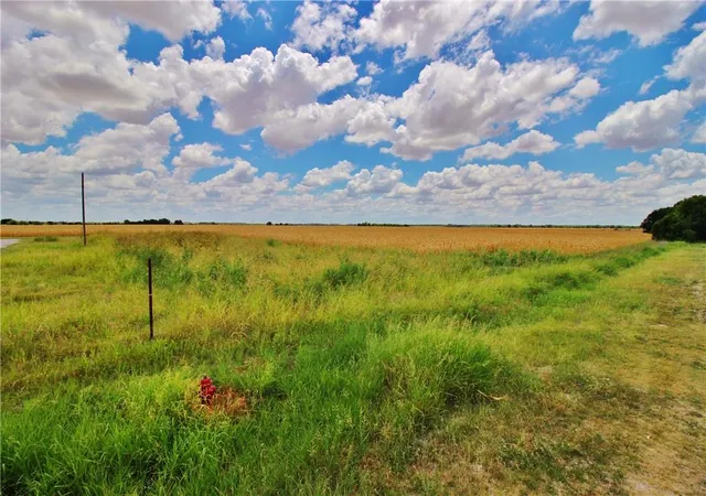 1st image of Tbd E Jackson, Elm, Aisne, And Brook St St, Bartlett, TX 76511 | MLS# 6590763