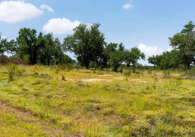Homes for sale in Johnson City, TX | Lot 32 Prancing Deer Ln, Johnson City, TX 78636 | MLS# 9067514