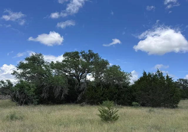 Homes for sale in Goldthwaite, TX | 257 W Rolling Oaks Dr, Goldthwaite, TX 76844 | MLS# 1613582