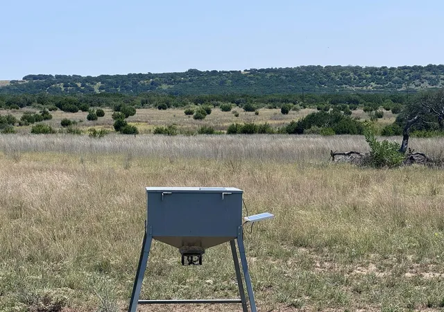 Homes for sale in Goldthwaite, TX | 57 County Road 330, Goldthwaite, TX 76844 | MLS# 3580473
