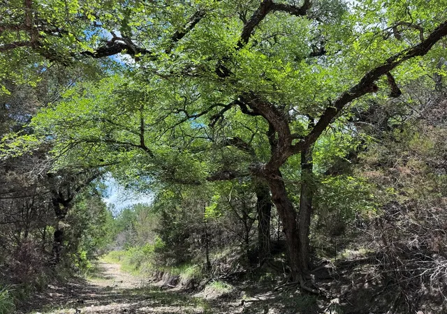 Homes for sale in Goldthwaite, TX | 312 Oak Stump Dr, Goldthwaite, TX 76844 | MLS# 2135325