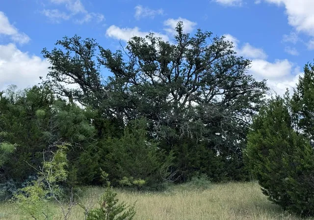Homes for sale in Goldthwaite, TX | 312 Oak Stump Dr, Goldthwaite, TX 76844 | MLS# 2135325
