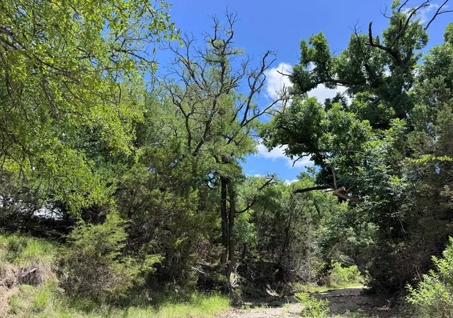 Homes for sale in Goldthwaite, TX | 312 Oak Stump Dr, Goldthwaite, TX 76844 | MLS# 2135325