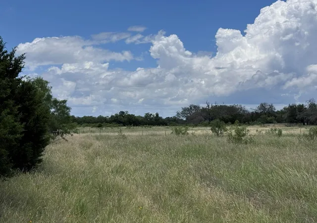 Homes for sale in Goldthwaite, TX | 312 Oak Stump Dr, Goldthwaite, TX 76844 | MLS# 2135325