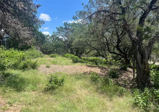 Homes for sale in Spicewood, TX | 19508 Timberline Dr, Spicewood, TX 78669 | MLS# 9800079