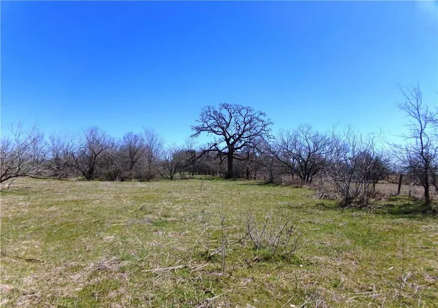 4th image of 0000 Fm 619, Thrall, TX 76578 | MLS# 8776183