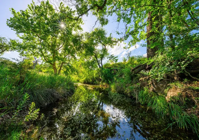 Photo 3 of Land for sale at 0 Ligon Smith Ln, Johnson City, TX 78636 | MLS# 3721397 | Listing updated on 2026-09-02