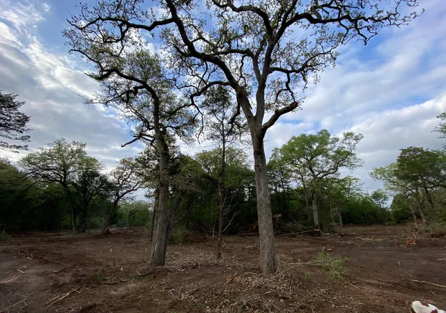 5th image of Tbd Parcel 1 Paffen Dr, Paige, TX 78659 | MLS# 3826285