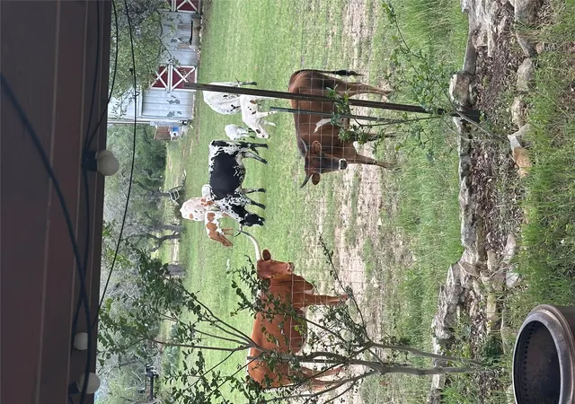 Photo 4 of Land for sale at 320 Valley Oak Dr, Dripping Springs, TX 78620 | MLS# 6551535 | Listing updated on 2026-06-13