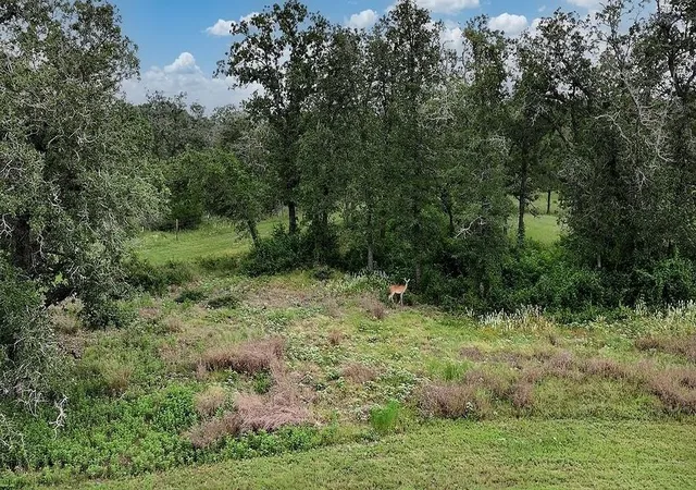 3rd image of 2625 Burke Rd, Flatonia, TX 78941 | MLS# 4945118