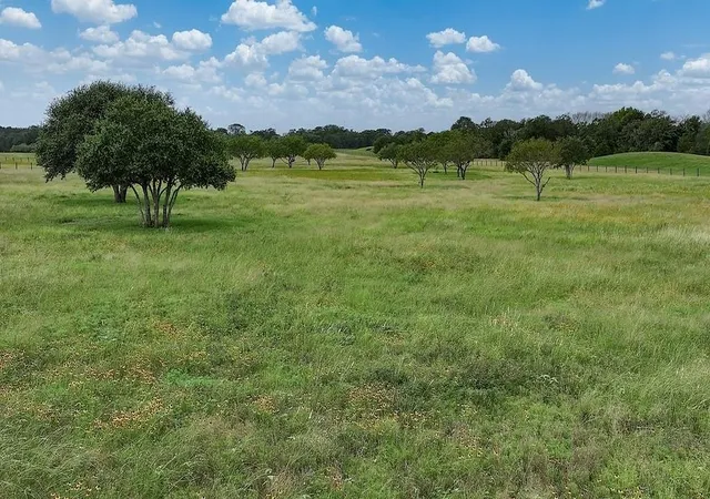 4th image of 2625 Burke Rd, Flatonia, TX 78941 | MLS# 4945118