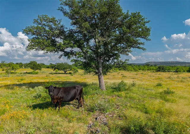 Photo 3 of Land for sale at Tbd County Rd 110, Llano, TX 78643 | MLS# 4550638 | Listing updated on 2026-08-17