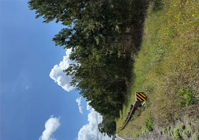 2nd image of 000 Hwy 21 E Hwy, Paige, TX 78659 | MLS# 1389449