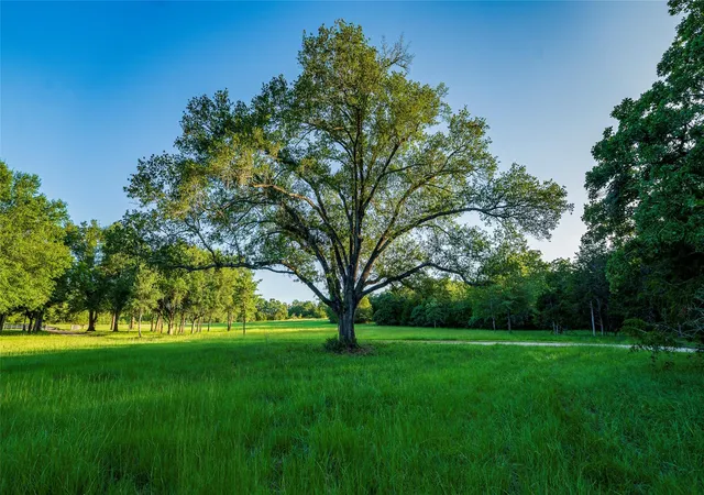 Photo 2 of House for sale at 1462 County Rd 313, Lexington, TX 78947 | MLS# 7081623 | Listing updated on 2026-09-07