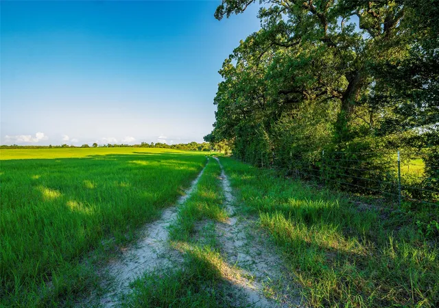 40th image of 0000 County Road 313, Lexington, TX 78947 | MLS# 7081623