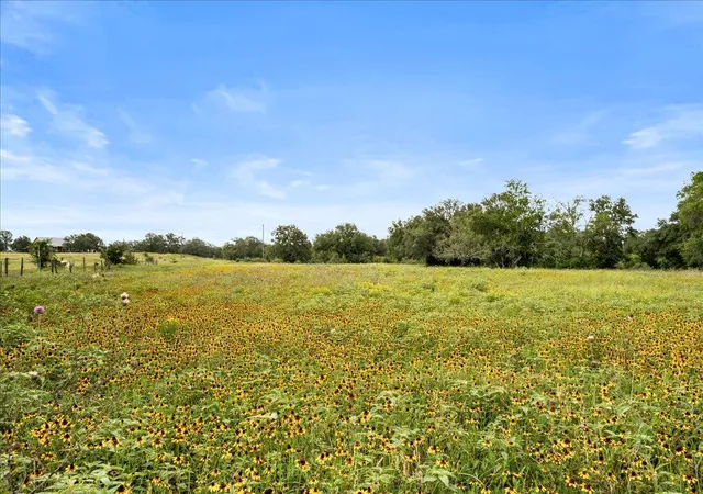 4th image of 8413 Mach Rd, La Grange, TX 78945 | MLS# 8727906
