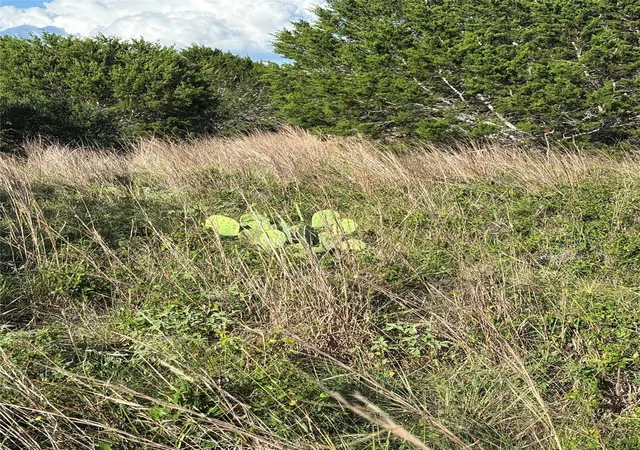 Photo 3 of Land for sale at 1200 Cave Springs Dr, Wimberley, TX 78676 | MLS# 8856718 | Listing updated on 2026-06-14