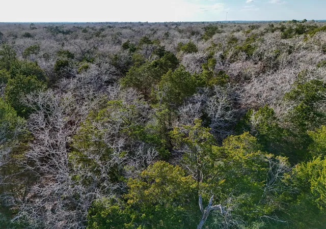 Homes for sale in Paige, TX | Lot 8 South Old Potato Rd, Paige, TX 78659 | MLS# 5096156