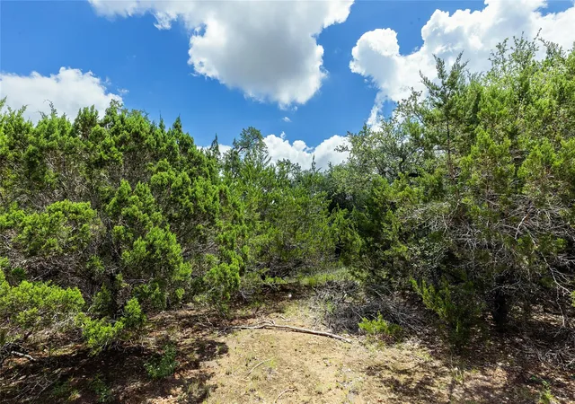 22nd image of 179 Shawnee Trl, Dripping Springs, TX 78620 | MLS# 4470857