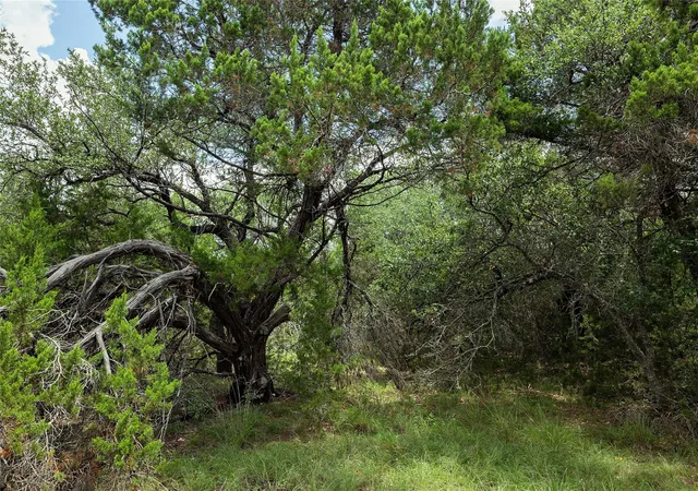3rd image of 179 Shawnee Trl, Dripping Springs, TX 78620 | MLS# 4470857