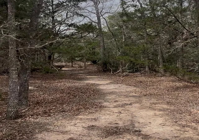 Homes for sale in Paige, TX | Lot 10 South Old Potato Rd, Paige, TX 78659 | MLS# 6932998