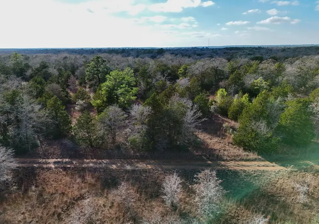 Homes for sale in Paige, TX | Lot 11 Antioch Rd, Paige, TX 78659 | MLS# 9747219