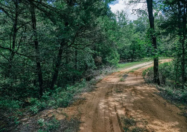 1st image of 9713 County Road 316, Caldwell, TX 77836 | MLS# 8715374