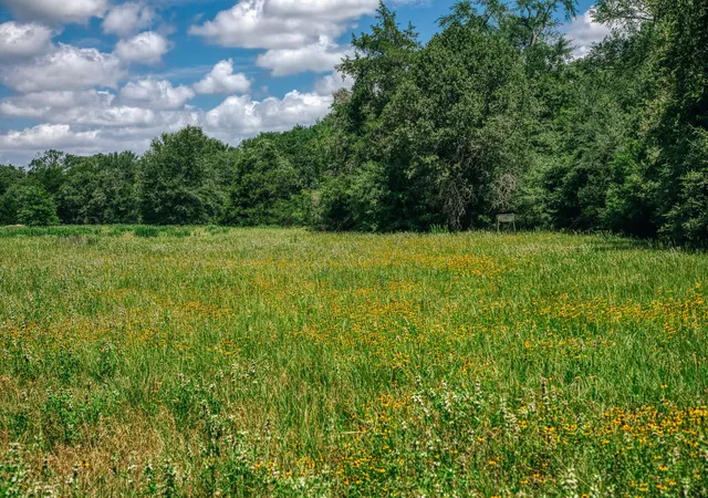 2nd image of 9713 County Road 316, Caldwell, TX 77836 | MLS# 8715374