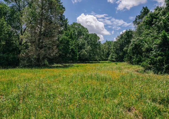 3rd image of 9713 County Road 316, Caldwell, TX 77836 | MLS# 8715374