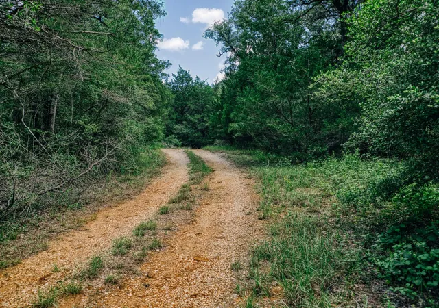 5th image of 9713 County Road 316, Caldwell, TX 77836 | MLS# 8715374