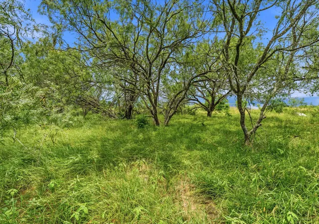 Photo 2 of Land for sale at 6407 Taylorsville Rd, Dale, TX 78616 | MLS# 1428559 | Listing updated on 2026-10-02