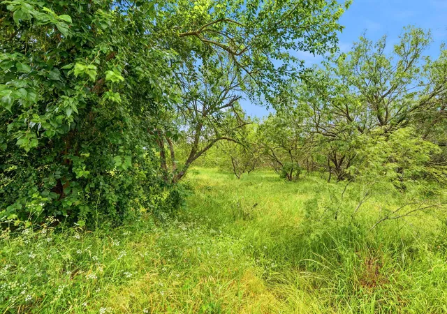 Photo 4 of Land for sale at 6407 Taylorsville Rd, Dale, TX 78616 | MLS# 1428559 | Listing updated on 2026-10-02