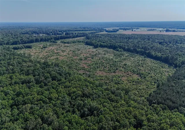 Homes for sale in Clarksville, TX | Cr 4621 County Road 4621, Clarksville, TX 75550 | MLS# 9957363