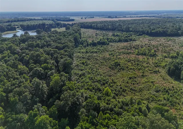 Homes for sale in Clarksville, TX | Cr 4621 County Road 4621, Clarksville, TX 75550 | MLS# 9957363