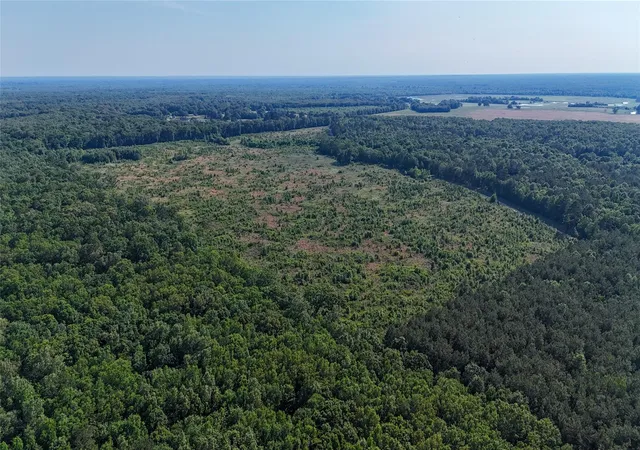 Homes for sale in Clarksville, TX | Cr 4621 County Road 4621, Clarksville, TX 75550 | MLS# 9957363