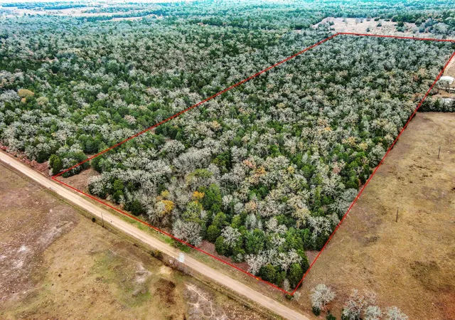 Photo 1 of Land for sale at 24 Acres Cr 332 Rd, Paige, TX 78659 | MLS# 5140981 | Listing updated on 2026-08-31